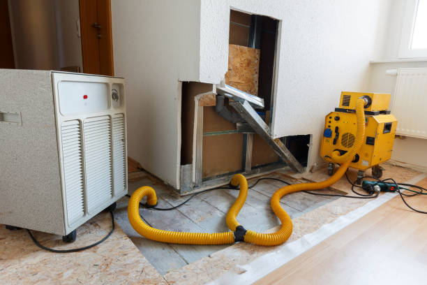 Best Commercial Mold Inspection  in Carencro, LA